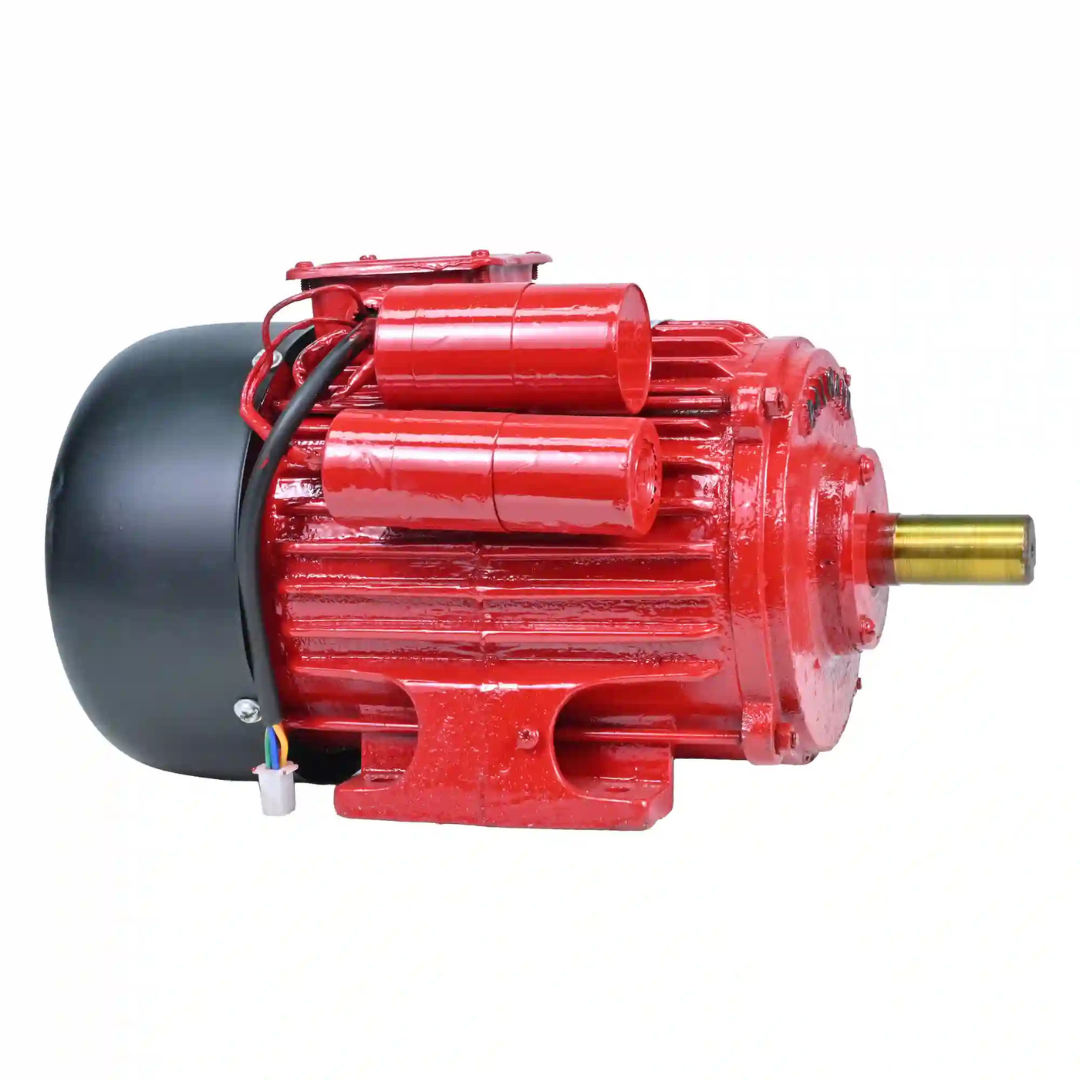 Agri Balwaan Motor 3 HP 2880 RPM