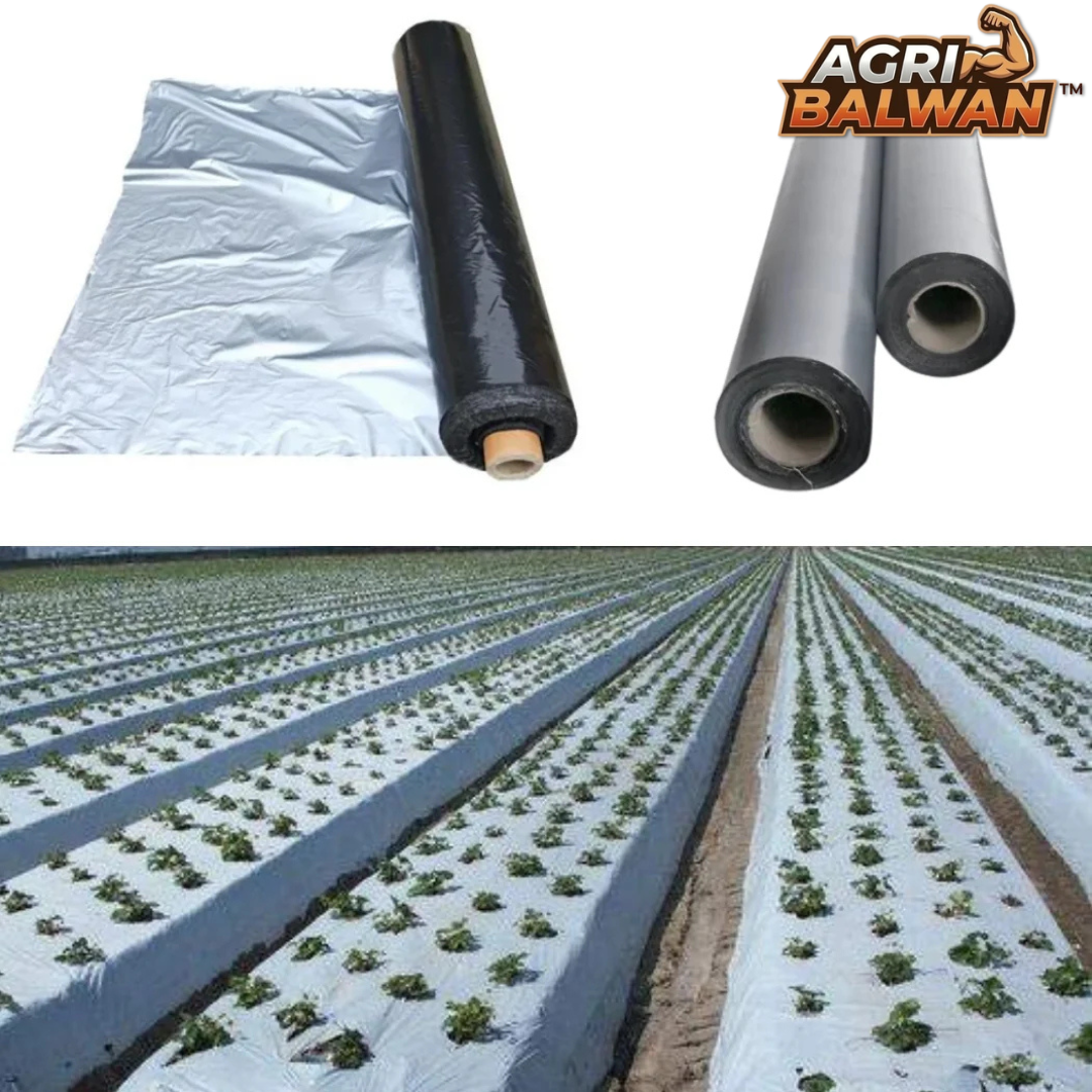 Mulching Paper (1 Meter x 400 Meter)